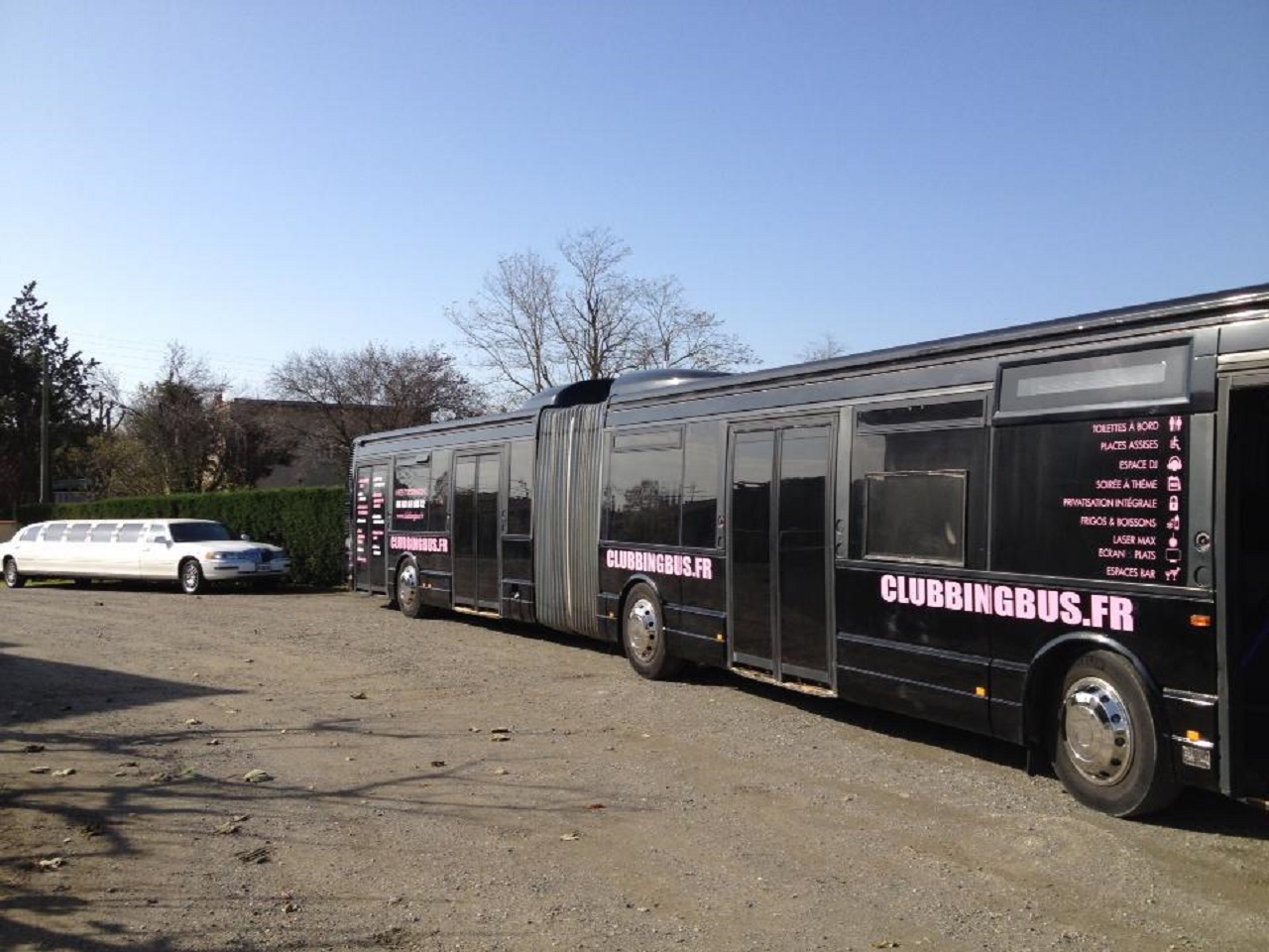 Clubbing Bus