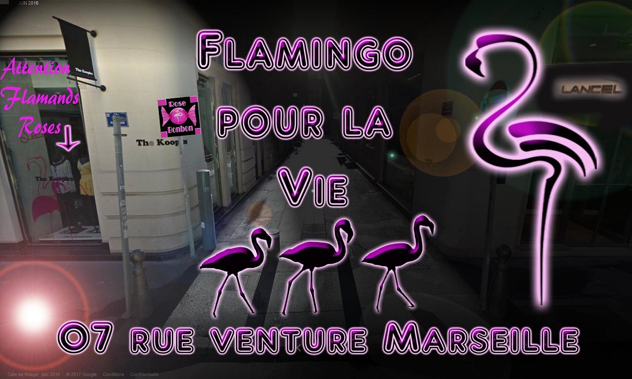 Le bar Flamingo